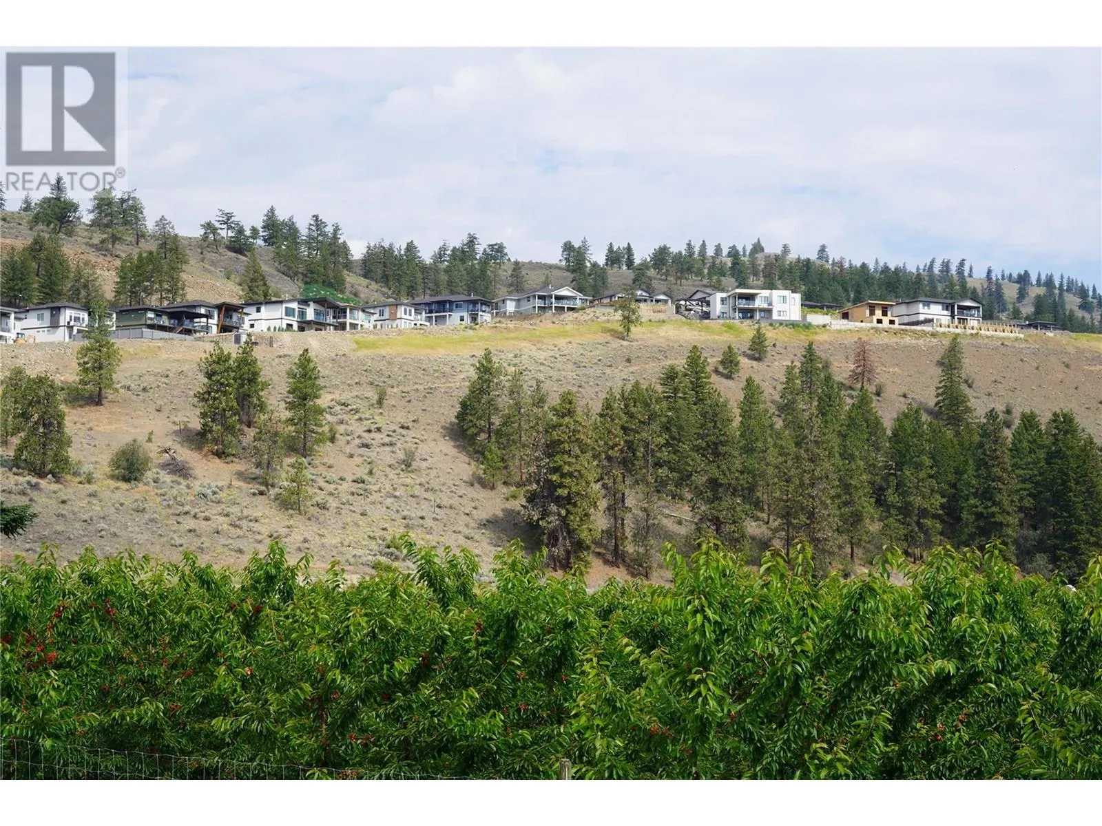 17585 Dickinson Place Lot# 13