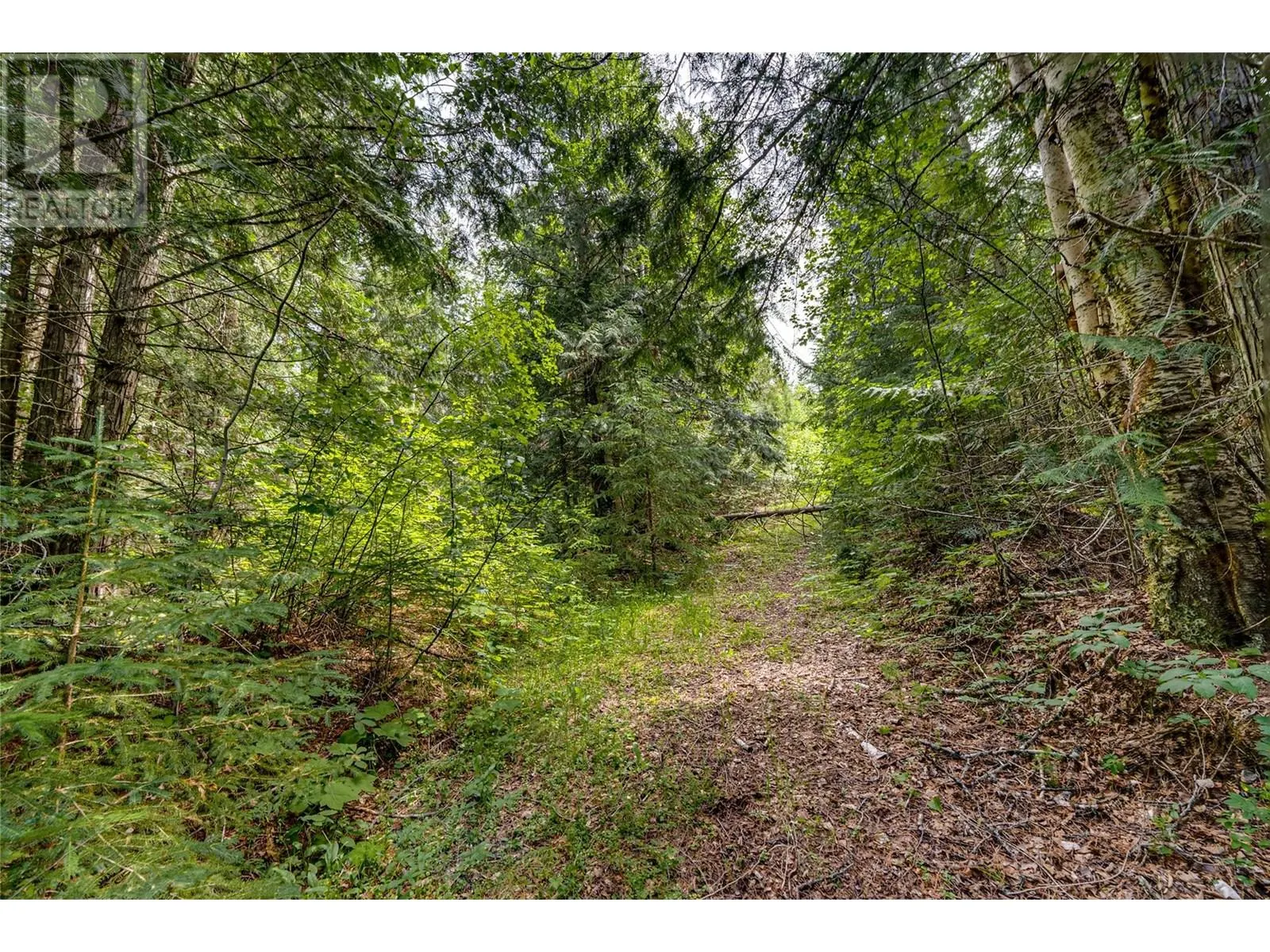00 Richlands Road