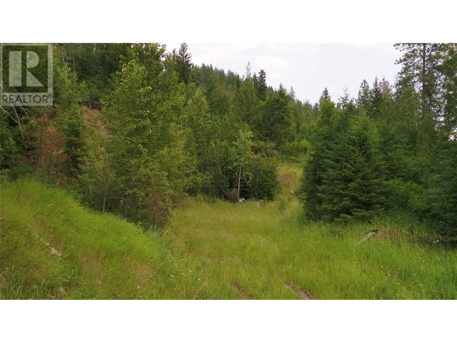 1477 Enderby Mabel Lake Road