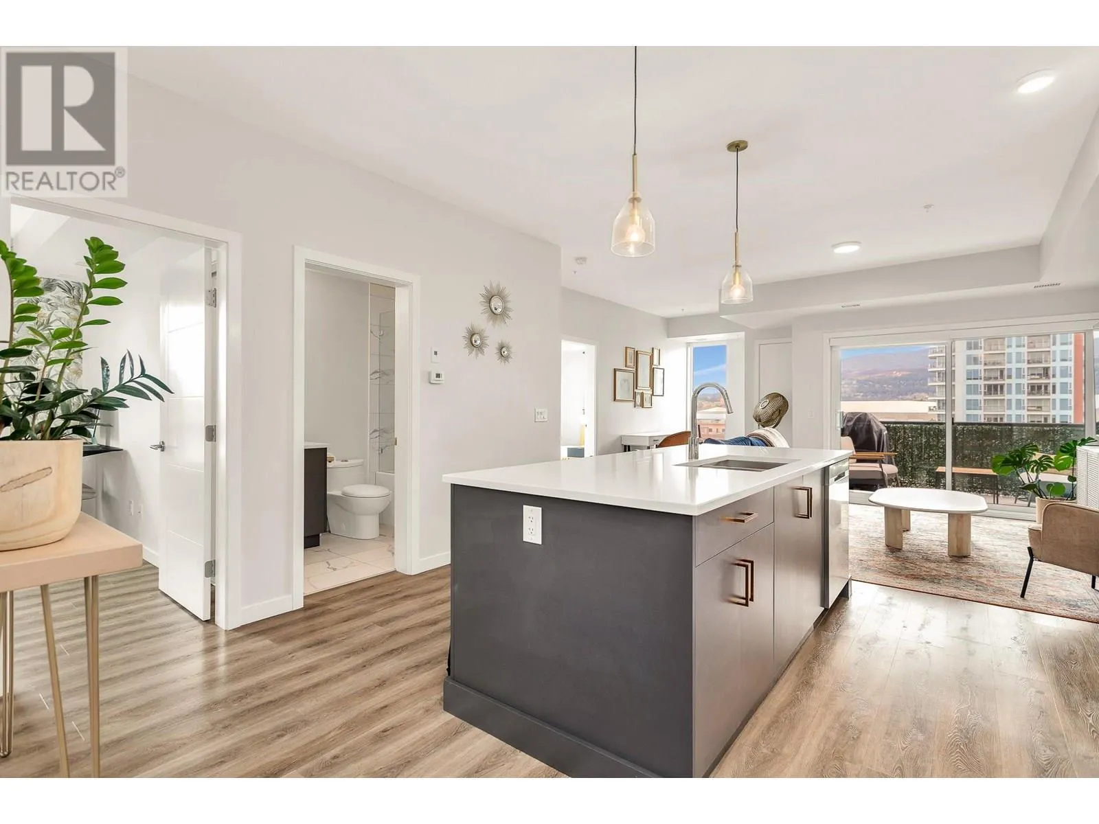 1215 St Paul Street Unit# 508