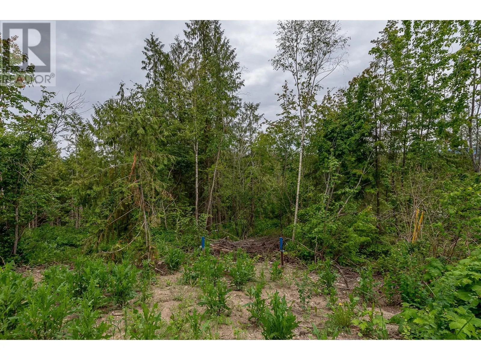 119 Timberlane Road