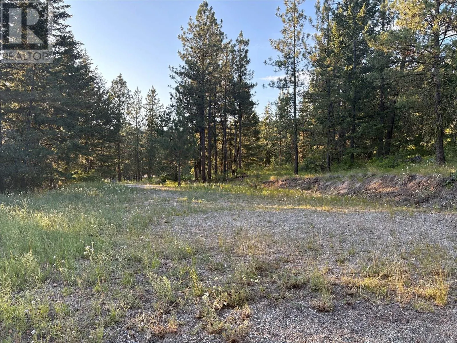 980 Bullmoose Way