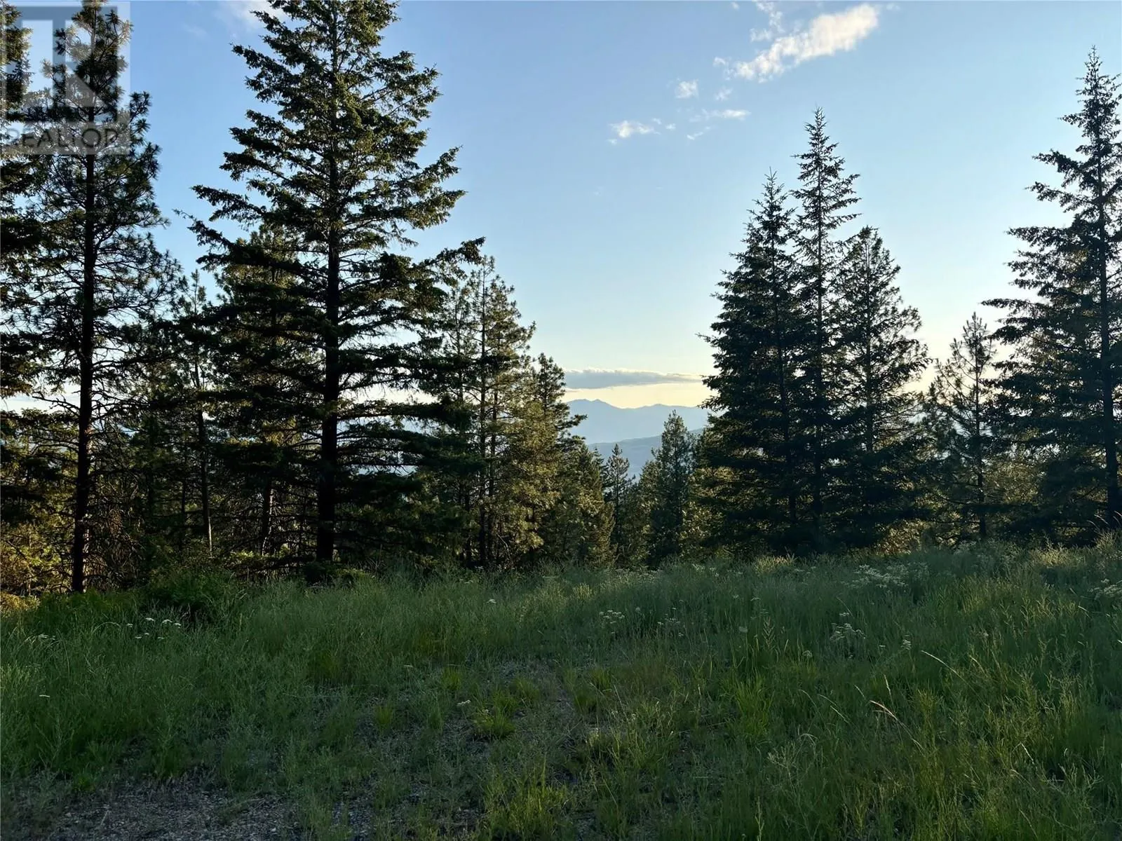 980 Bullmoose Way