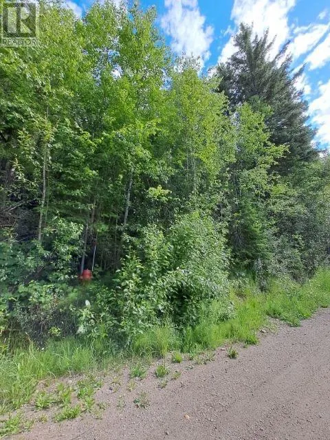 24 Vickers Trail
