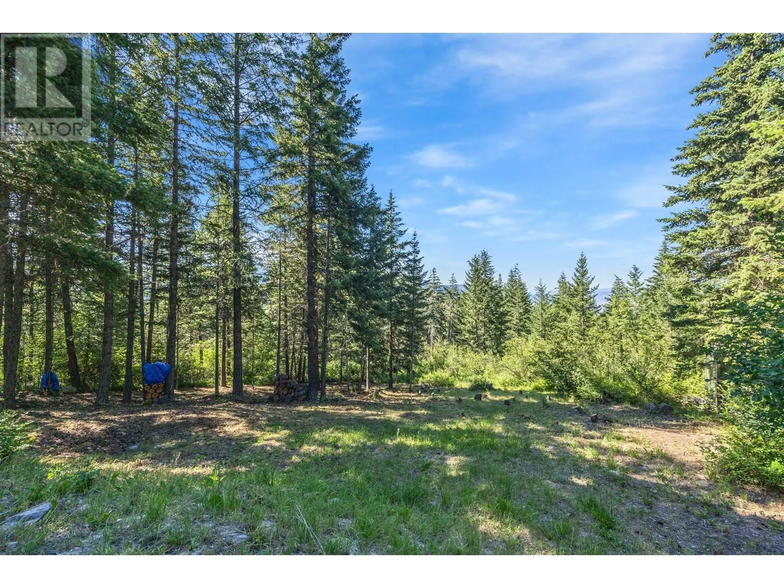 8080 Jackpine Road