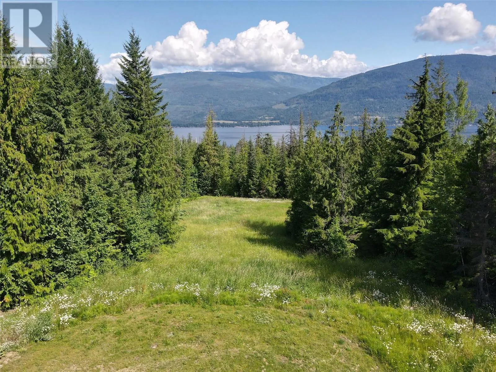 4959 Ivy Road Lot# Lot 2