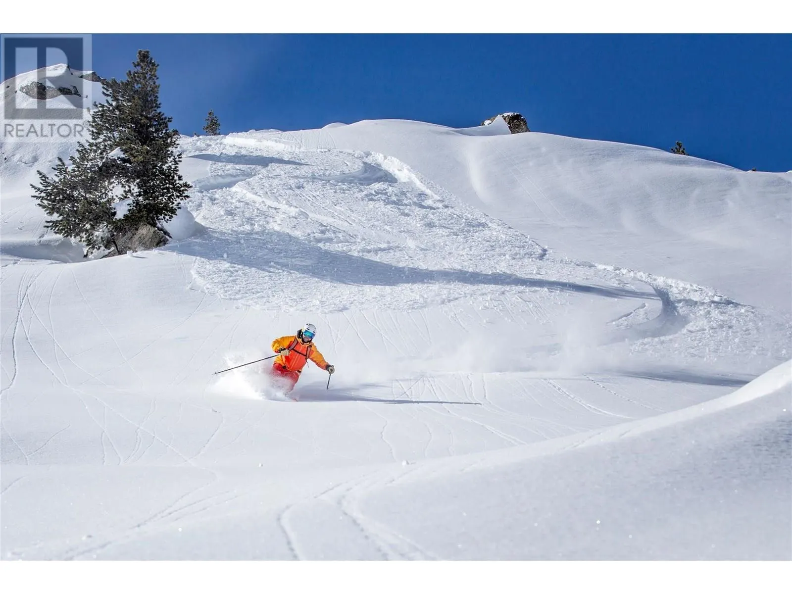 1545 KICKING HORSE Trail Unit# 111