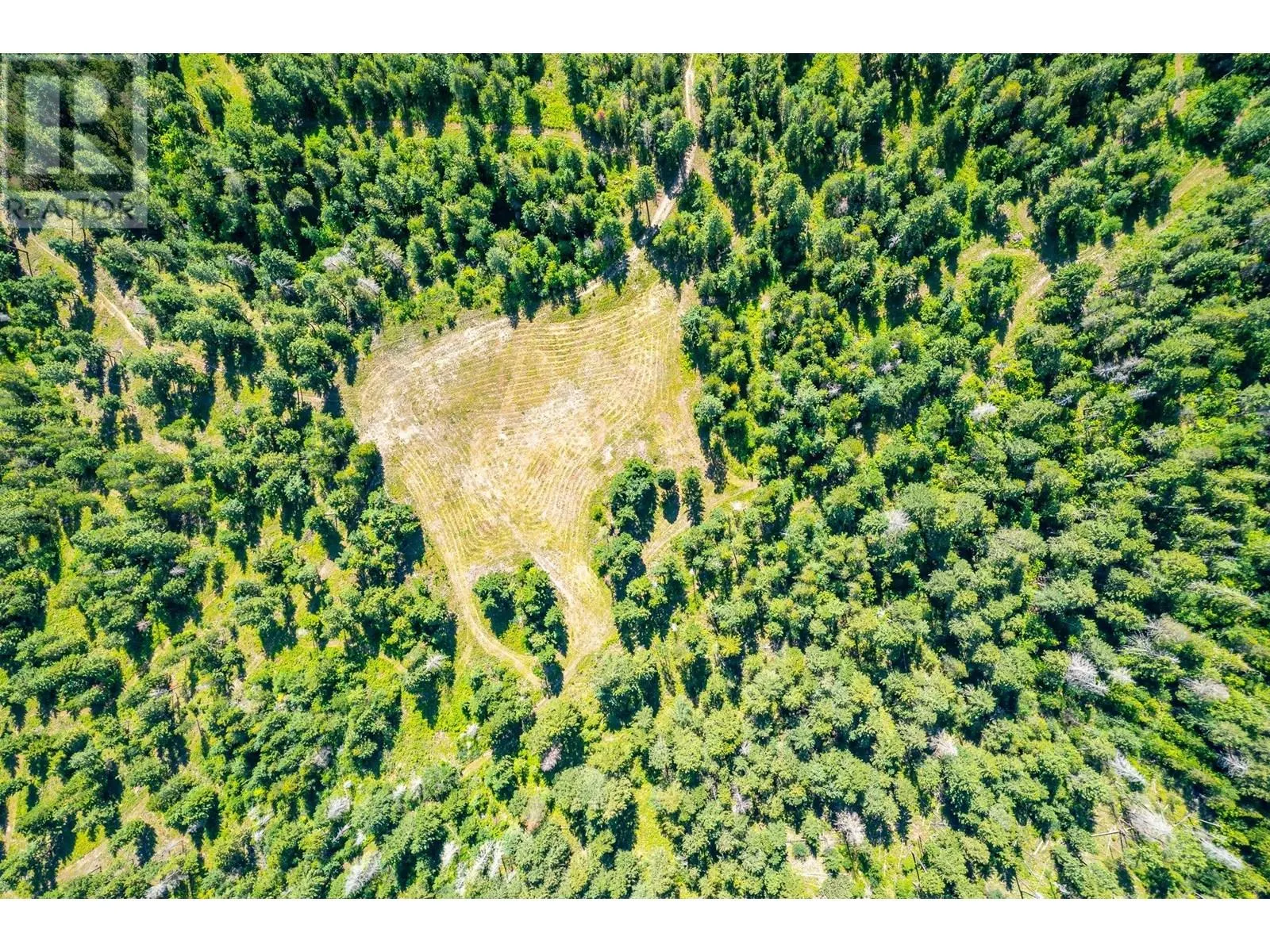 3186 Salmon River Road