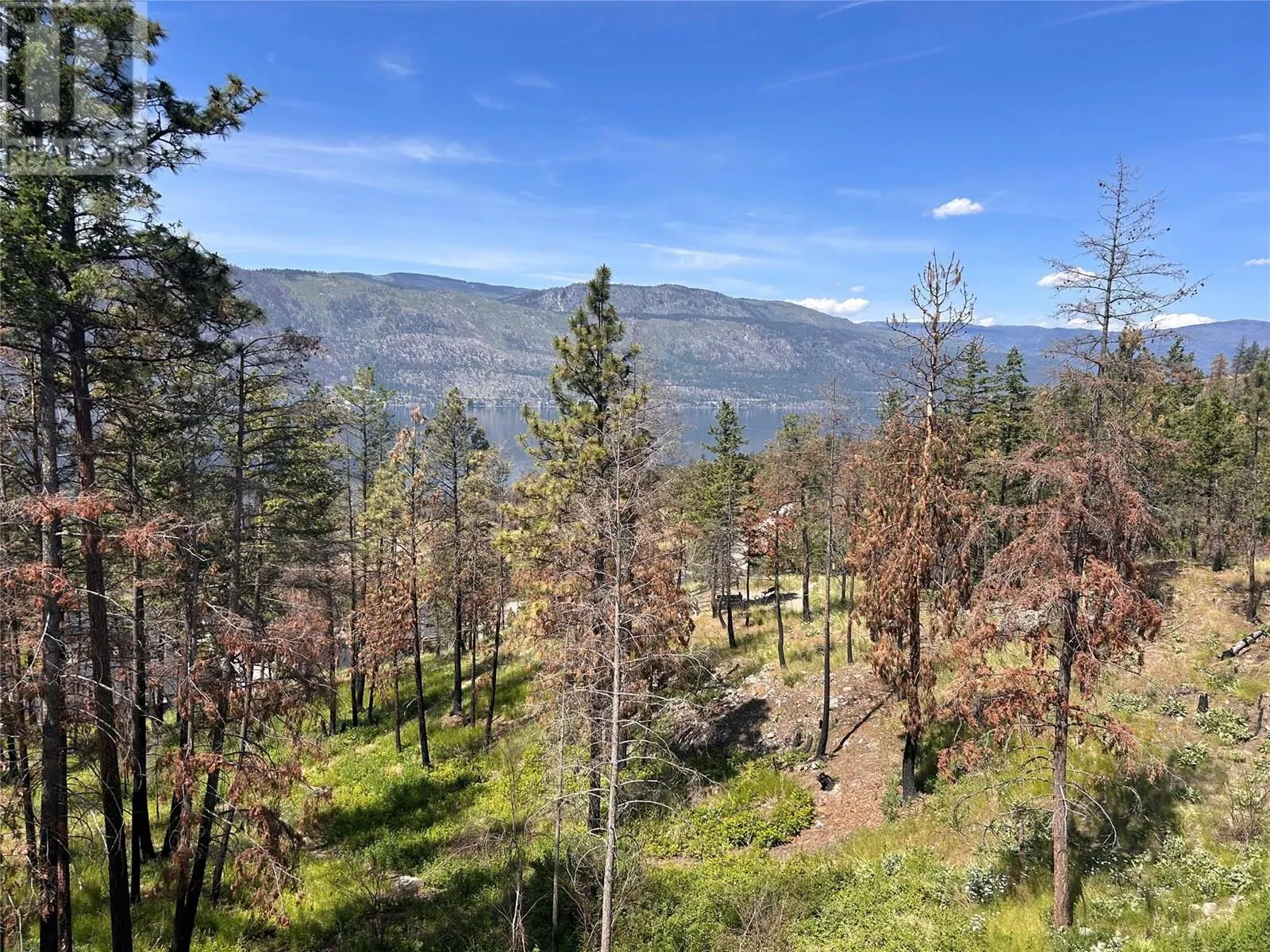 10058 Beacon Hill Drive