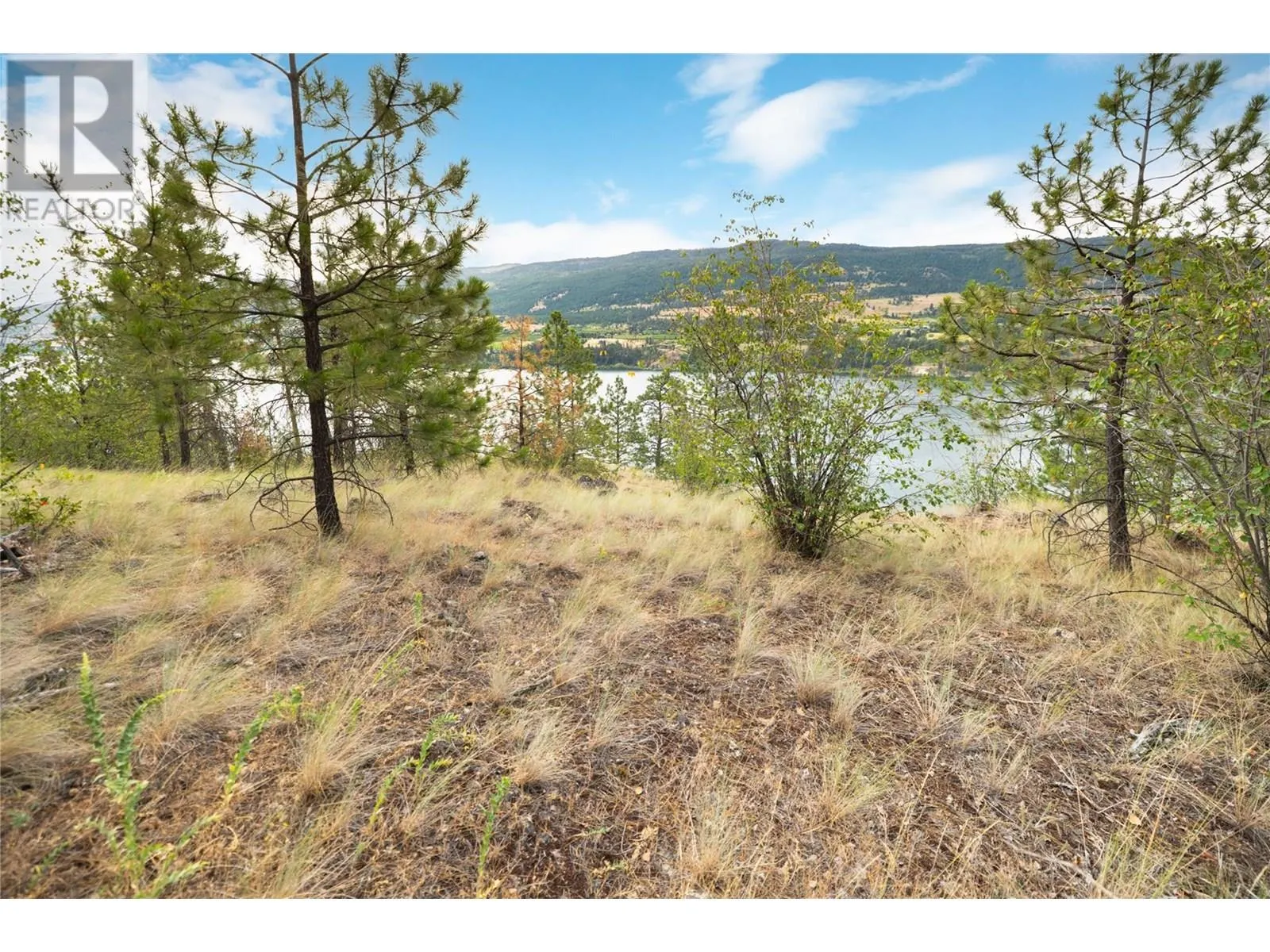 Proposed Lot 1 Old Mission Road