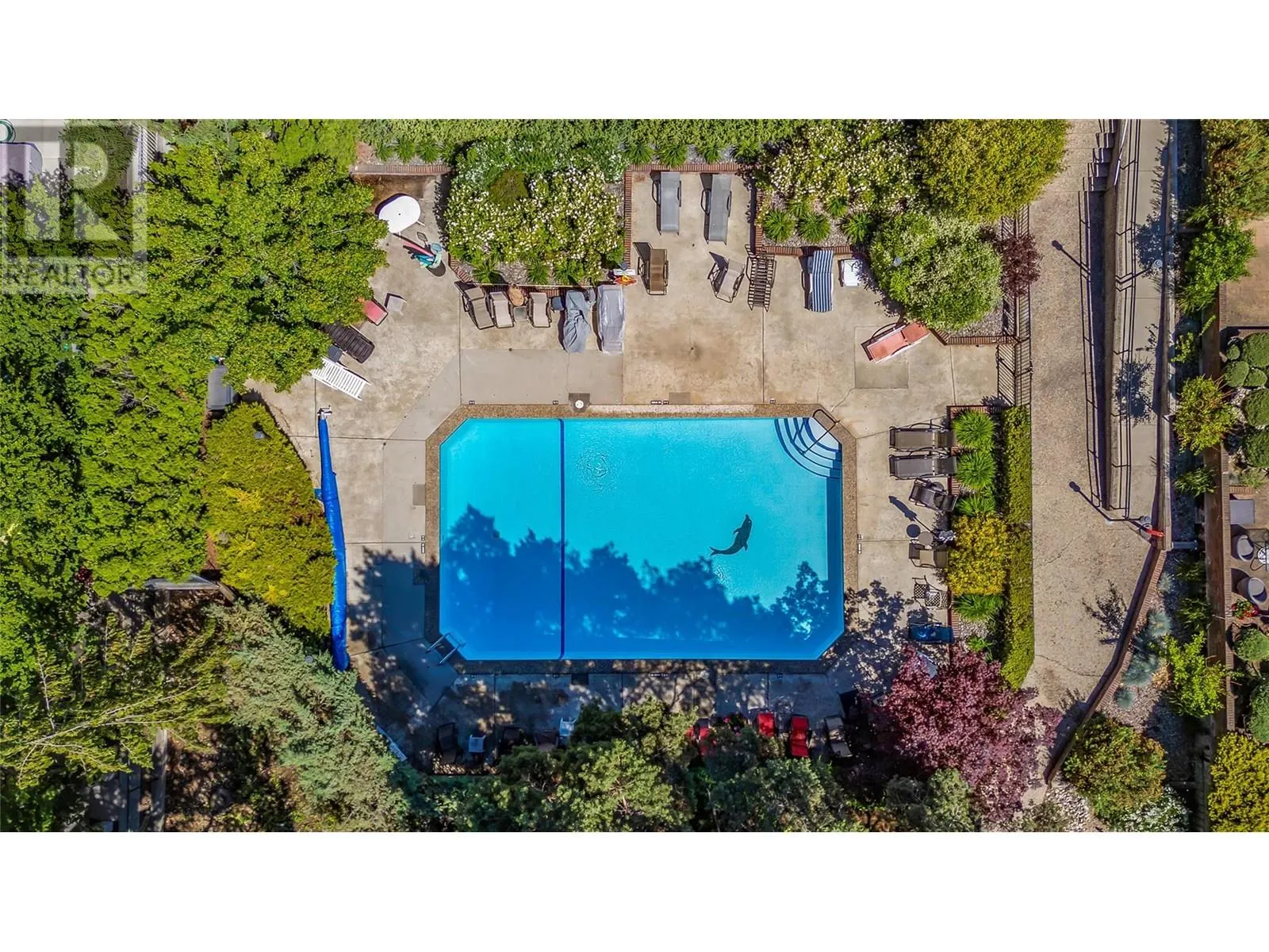 1056 Bernard Avenue Unit# 112