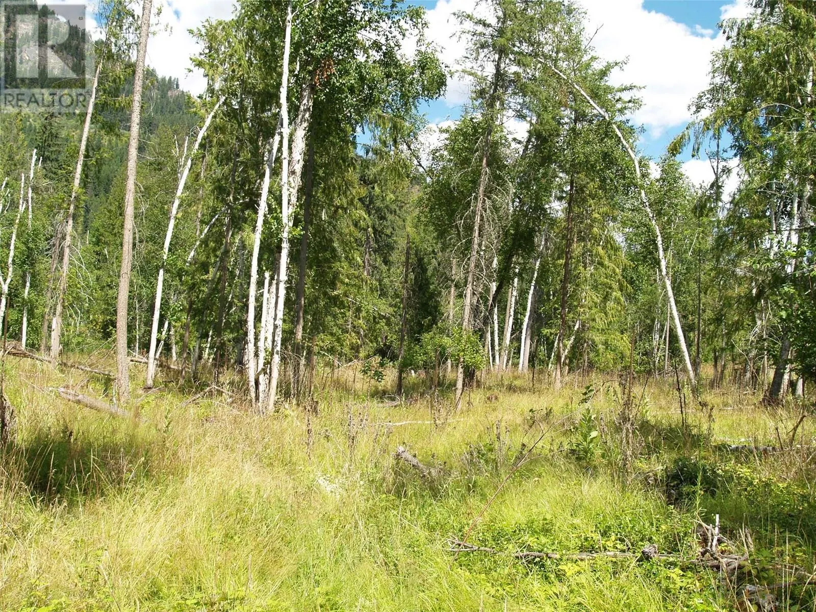 River Stone Road Lot# Lot D