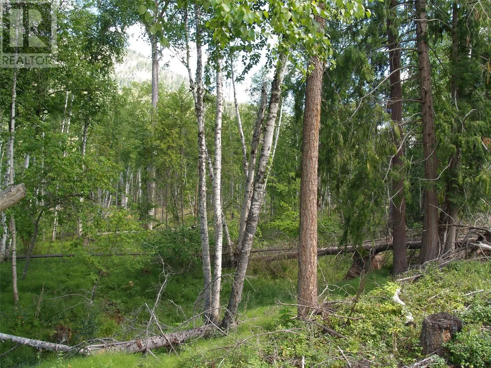 River Stone Road Lot# Lot D