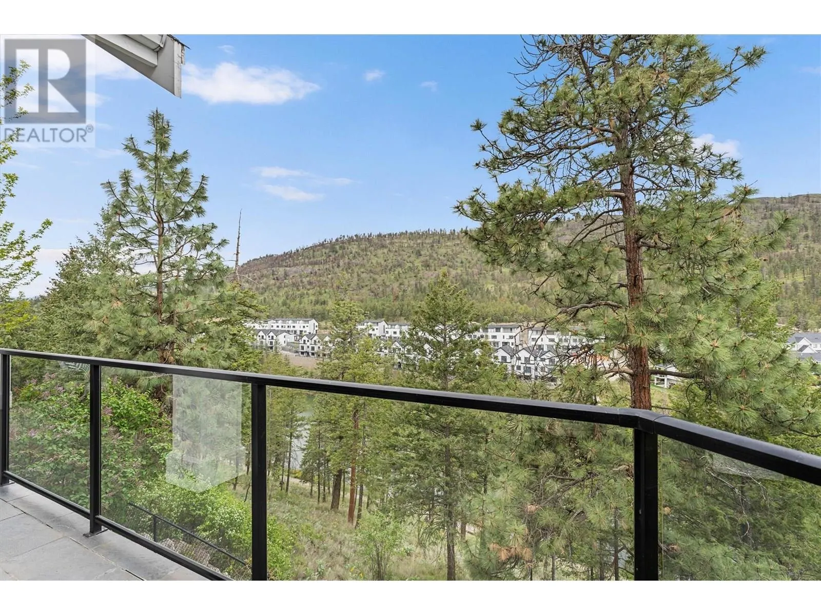 982 Long Ridge Court