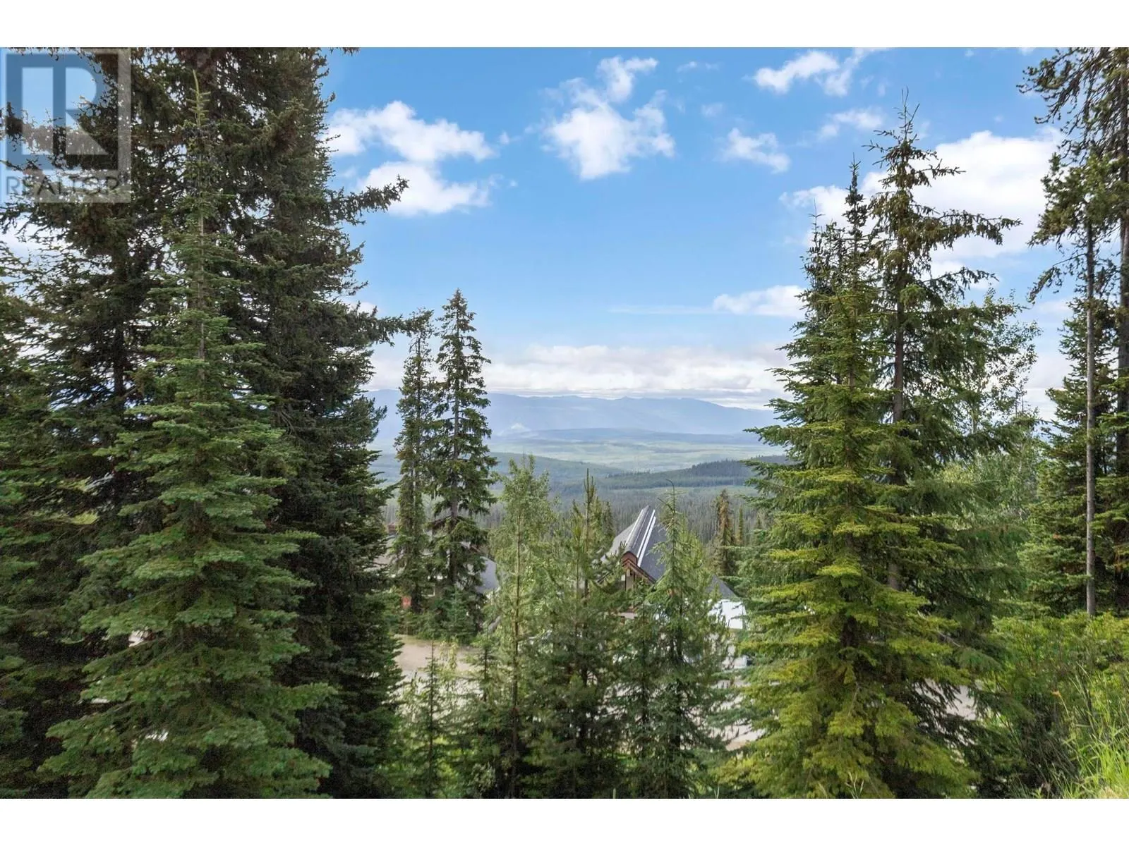 5895 Snow Pines Way Unit# 1