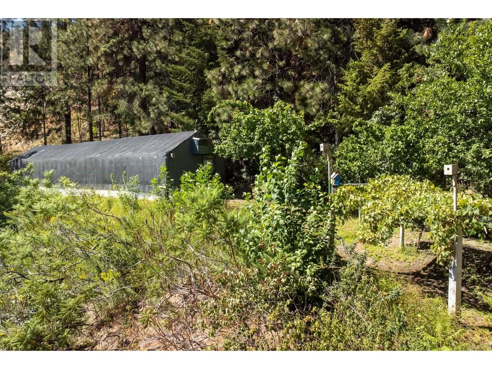 483 Pinehill Road
