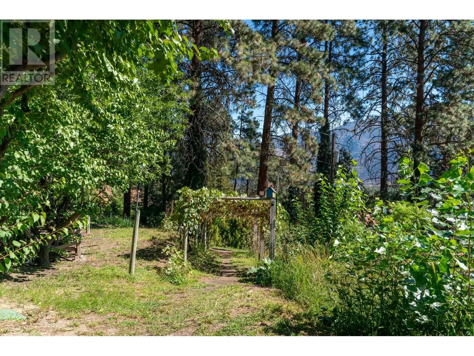 483 Pinehill Road