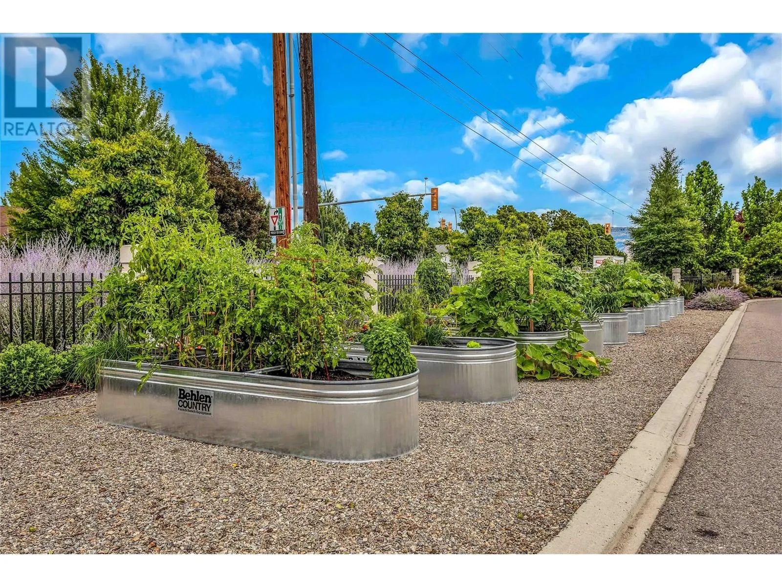 1102 Cameron Avenue Unit# 9