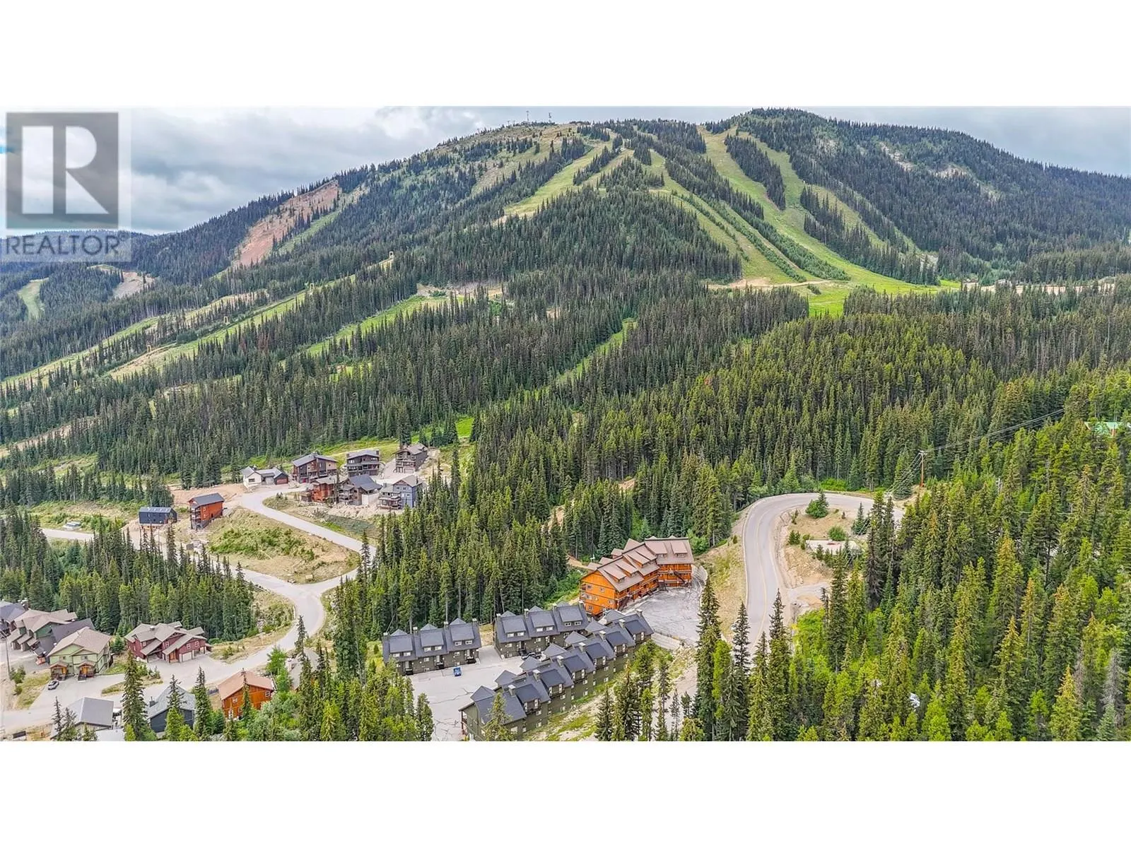 1259 Apex Mountain Road Unit# 18