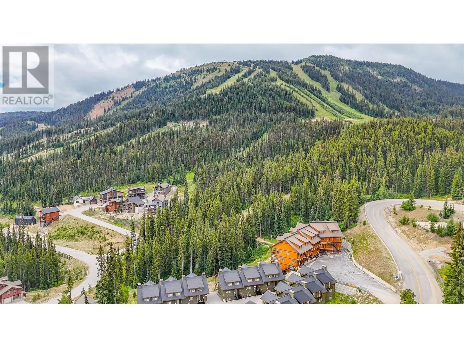 1259 Apex Mountain Road Unit# 18