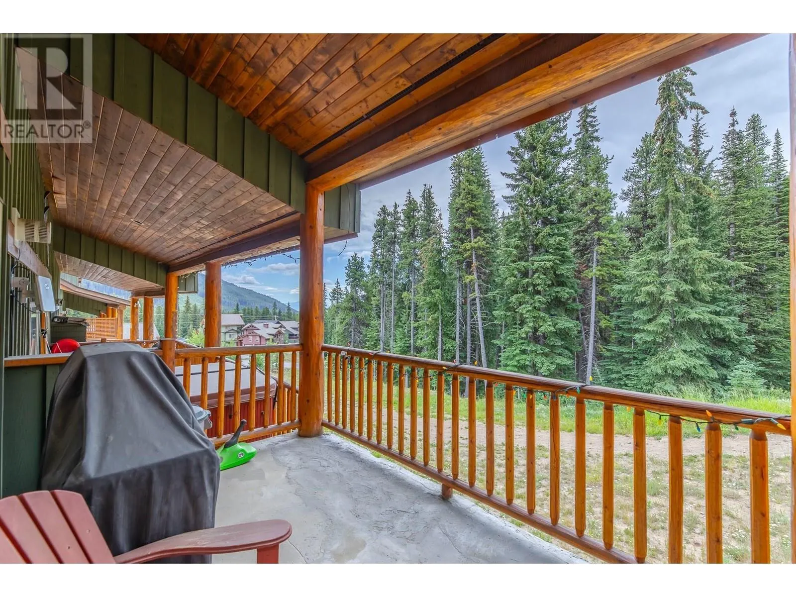 1259 Apex Mountain Road Unit# 18
