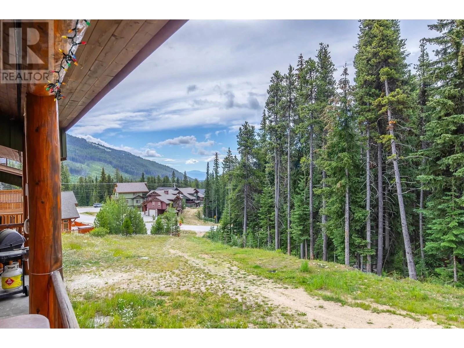 1259 Apex Mountain Road Unit# 18