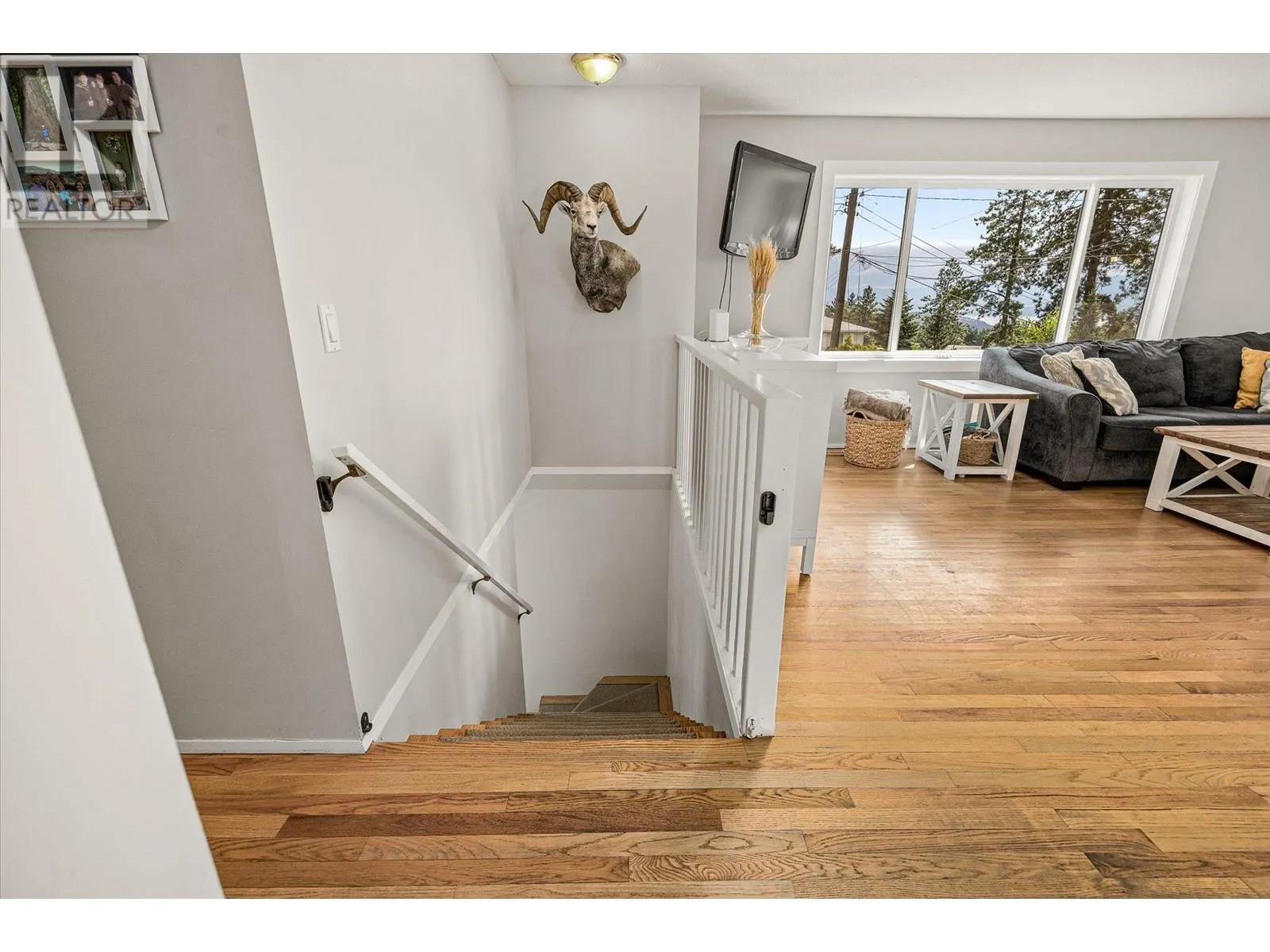 3530 Chives Place