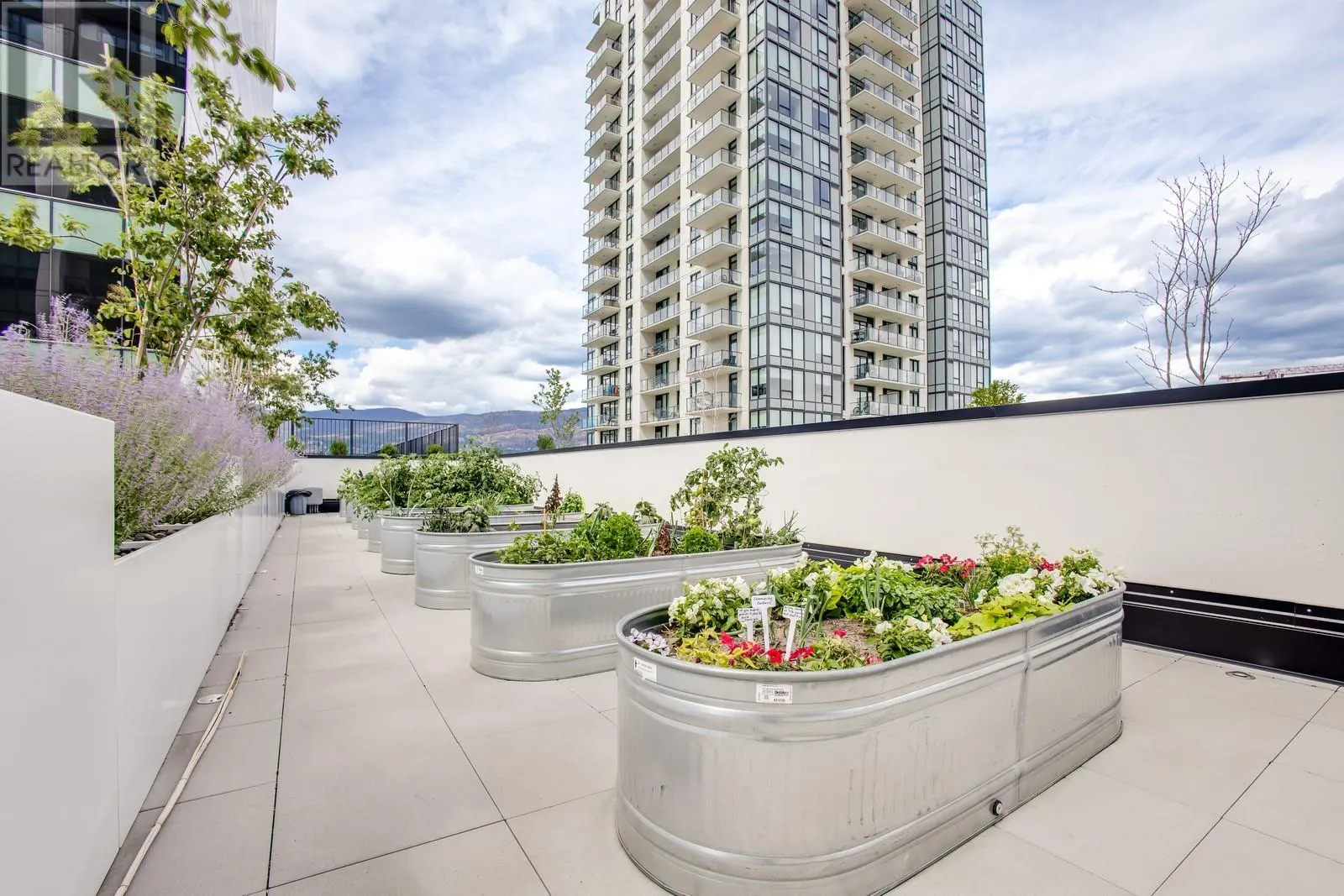 1488 Bertram Street Unit# 2502