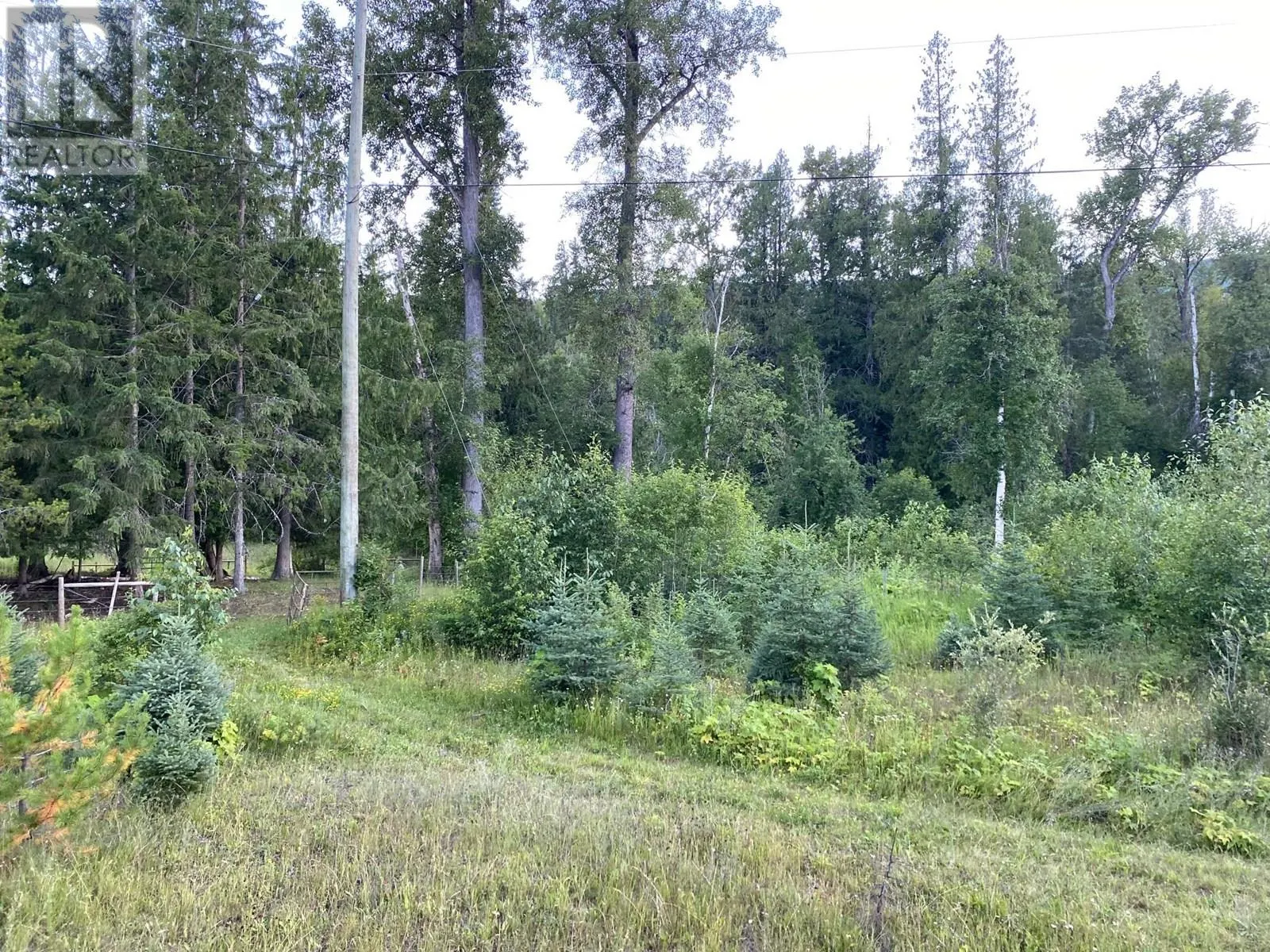 Sec. 15 6 Highway Unit# NE 1/4 Lot# NE 1/4