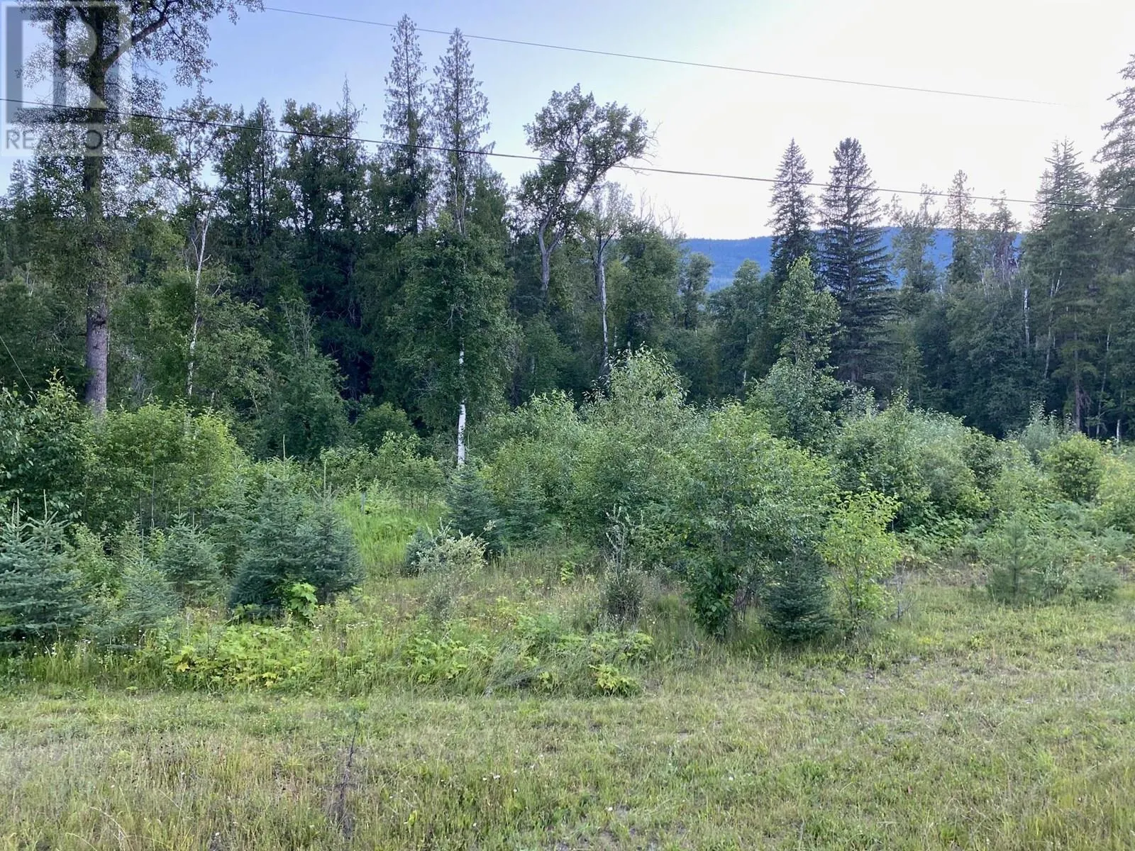 Sec. 15 6 Highway Unit# NE 1/4 Lot# NE 1/4
