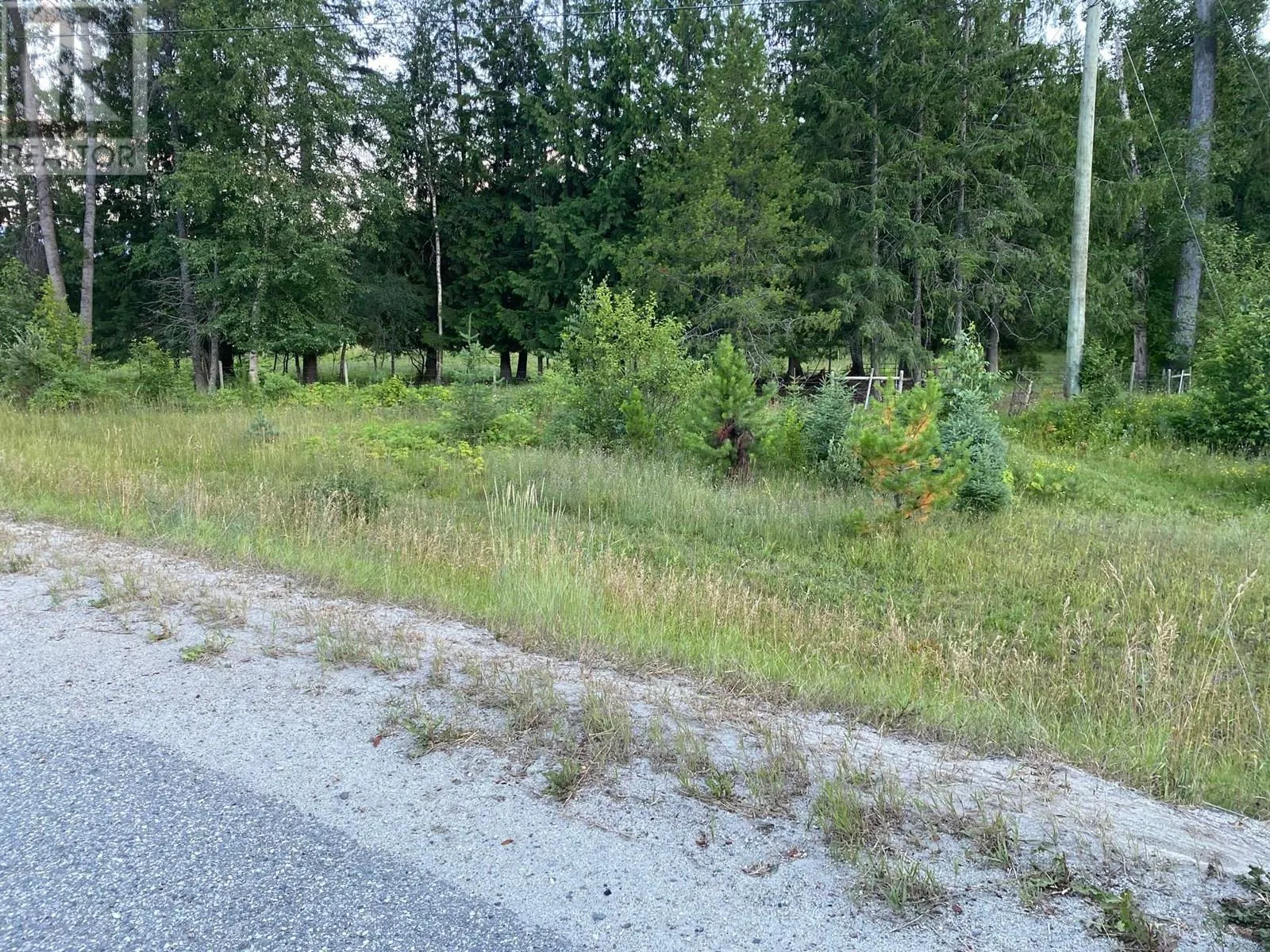 Sec. 15 6 Highway Unit# NE 1/4 Lot# NE 1/4