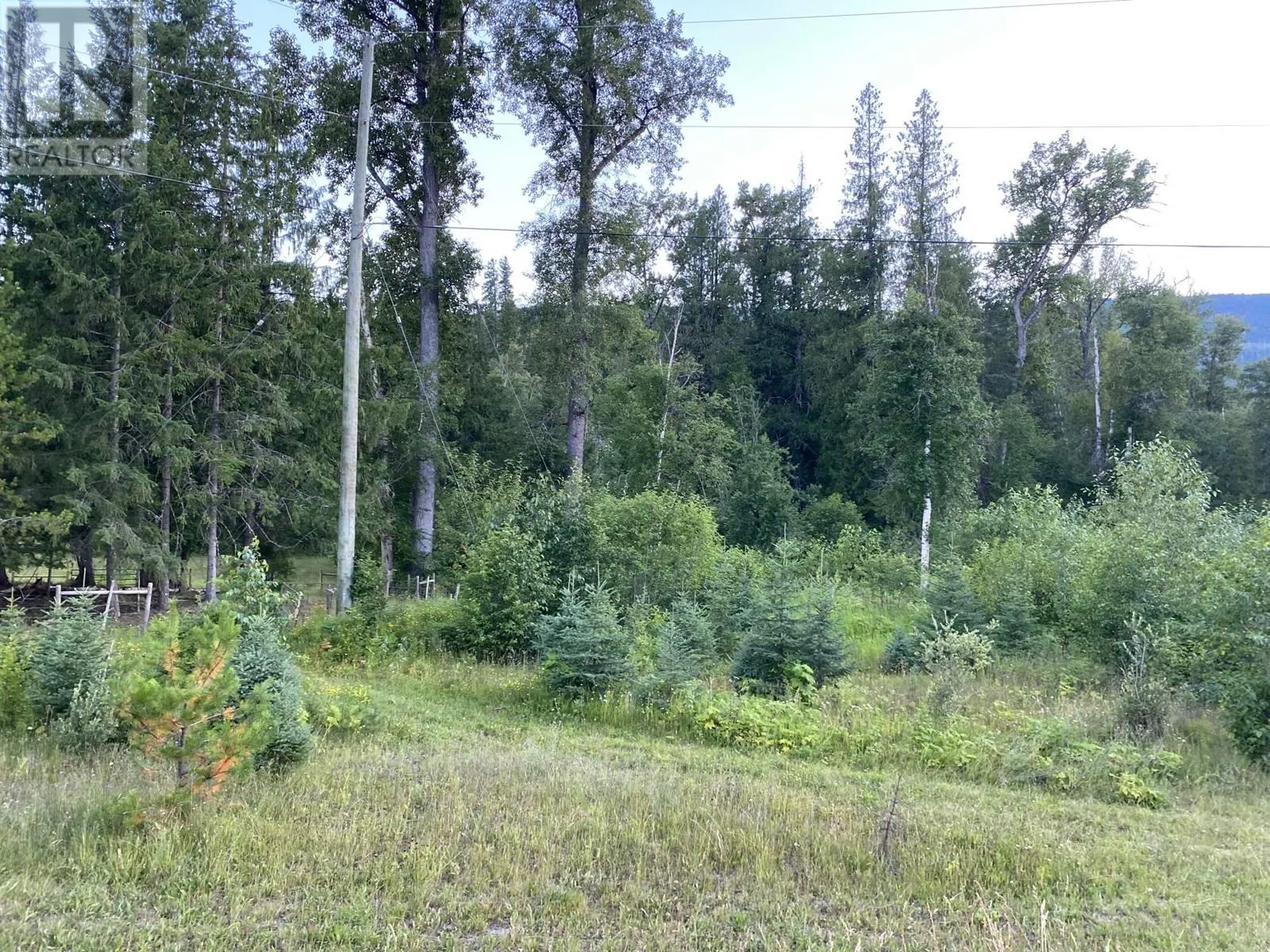 Sec. 15 6 Highway Unit# NE 1/4 Lot# NE 1/4