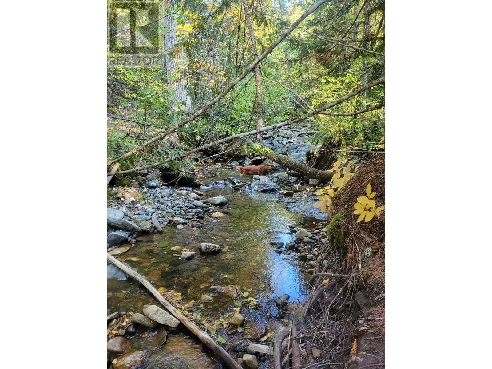 7468 Dixon Dam Road