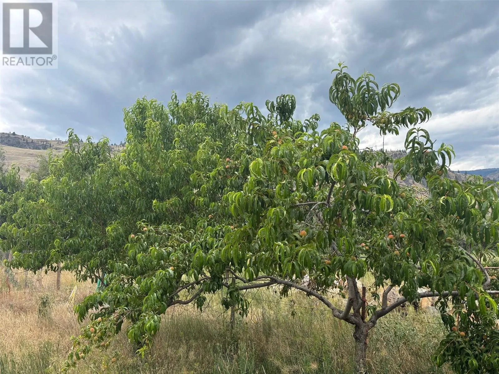 Lot 395A 96 Street