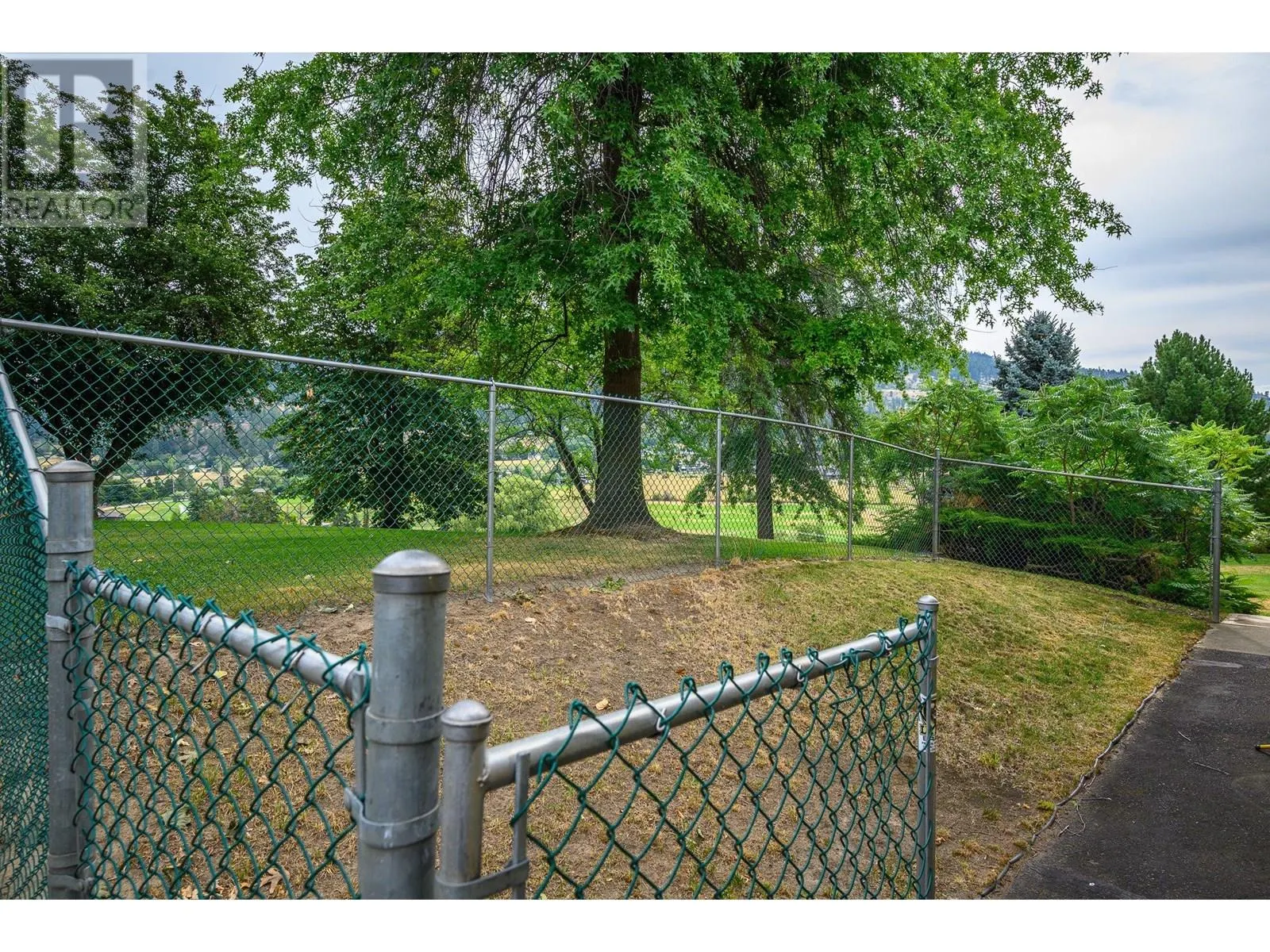 803 Shantz Road