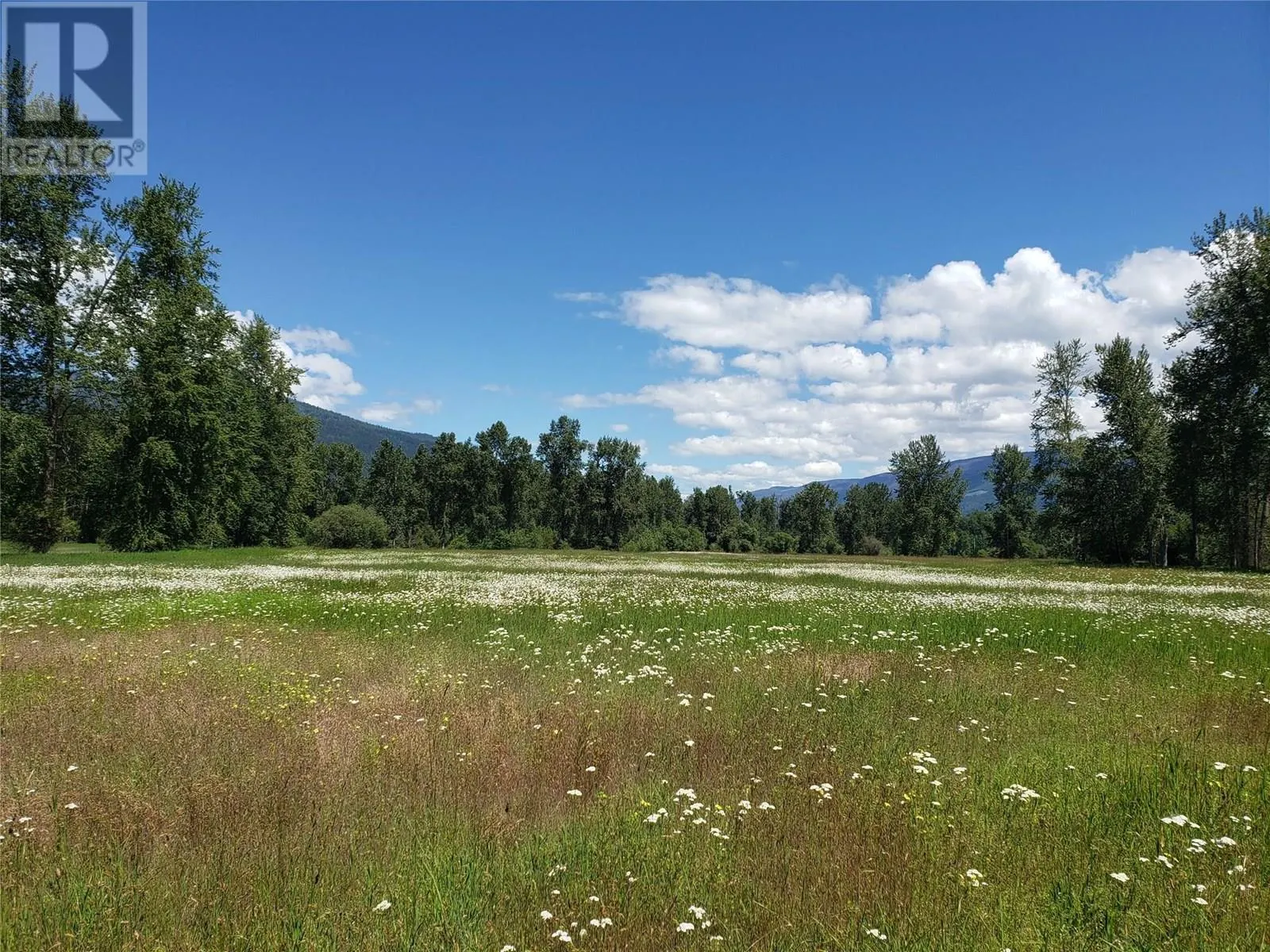 3022 Mabel Lake Road