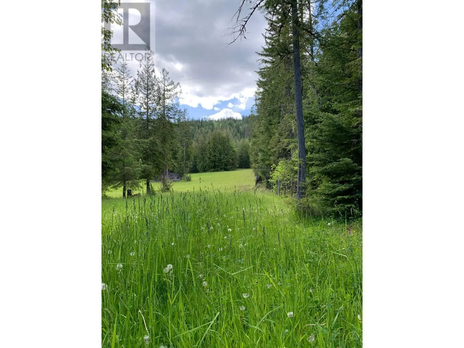 296 Trinity Valley Road