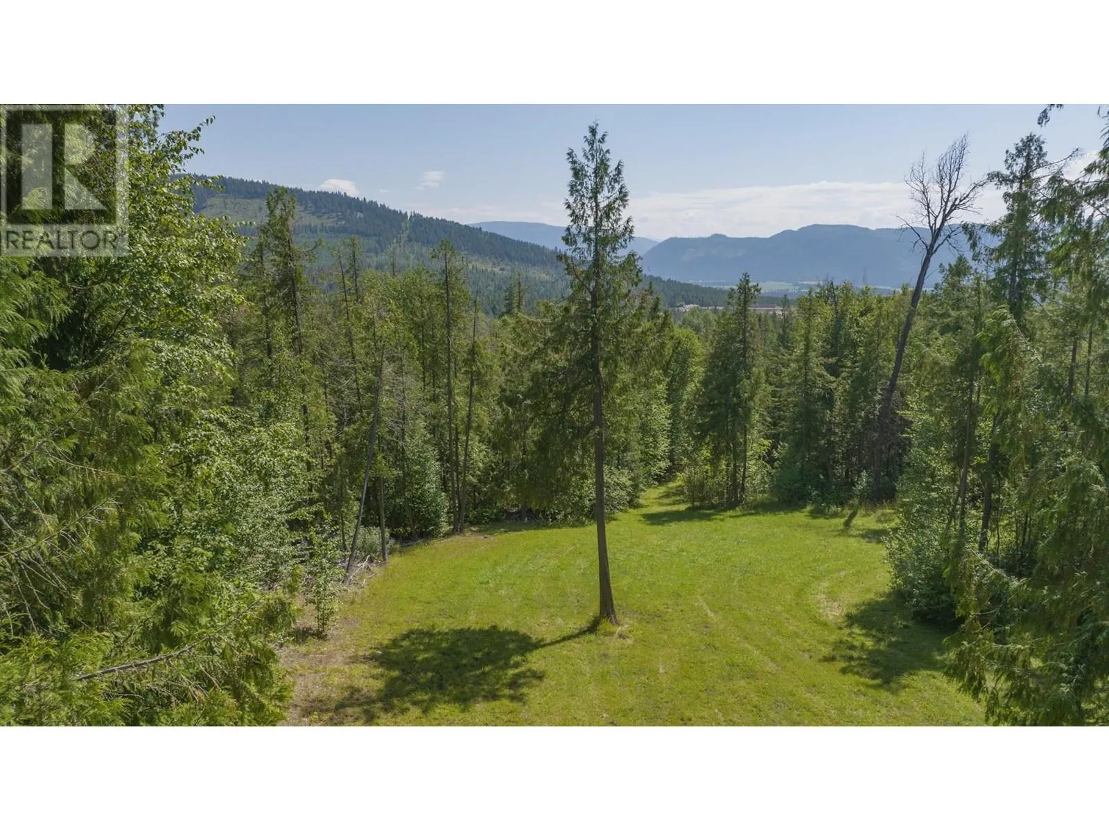 296 Trinity Valley Road
