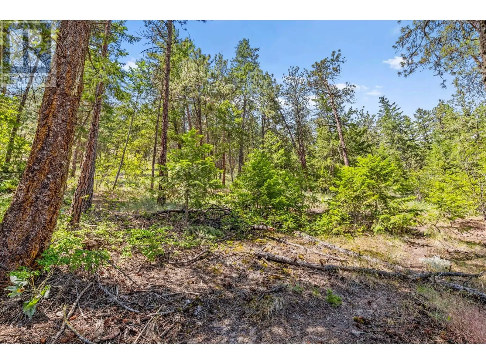 125 Applecrest Court