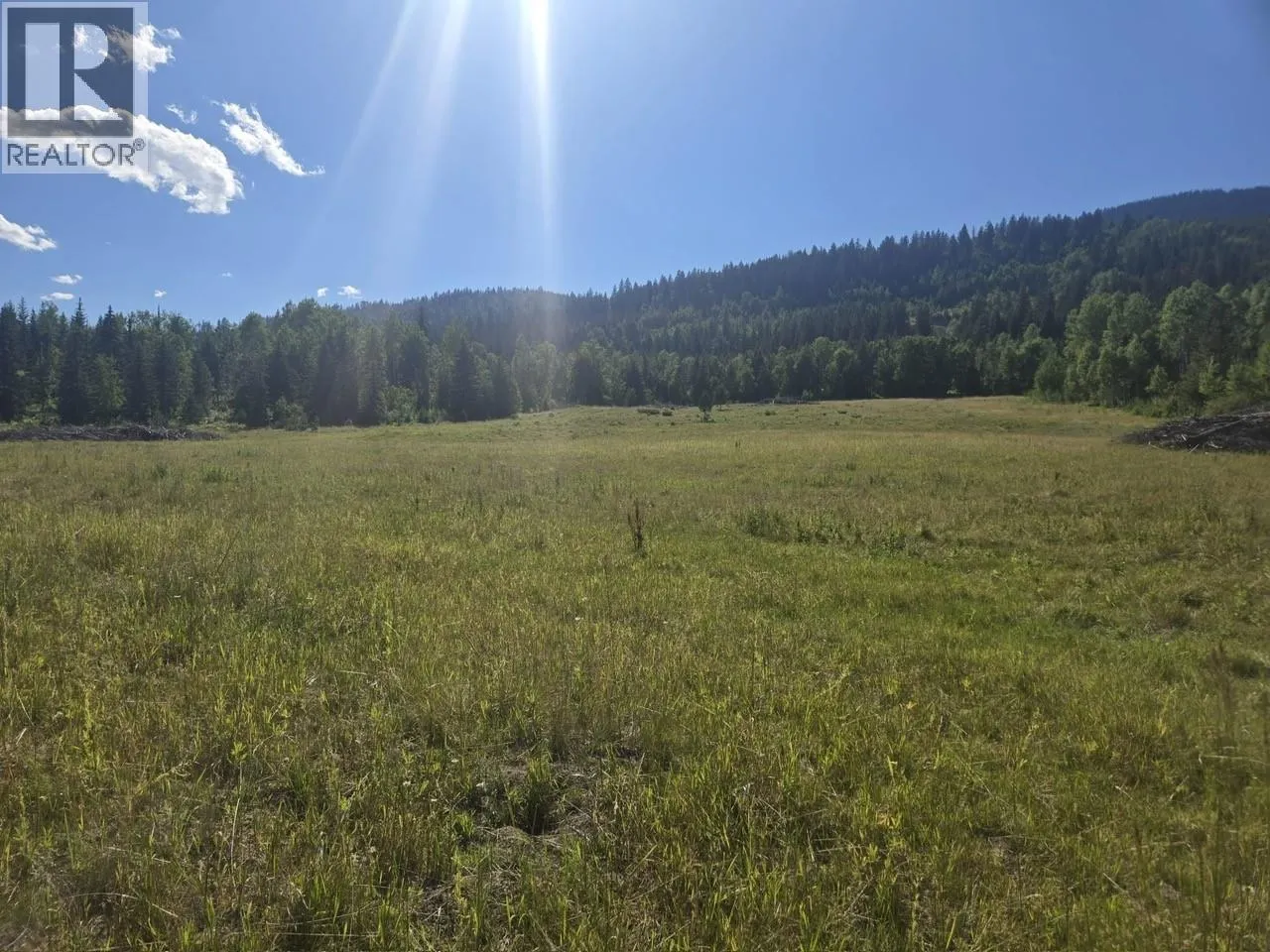 3680 Miller Lake FSR Forest