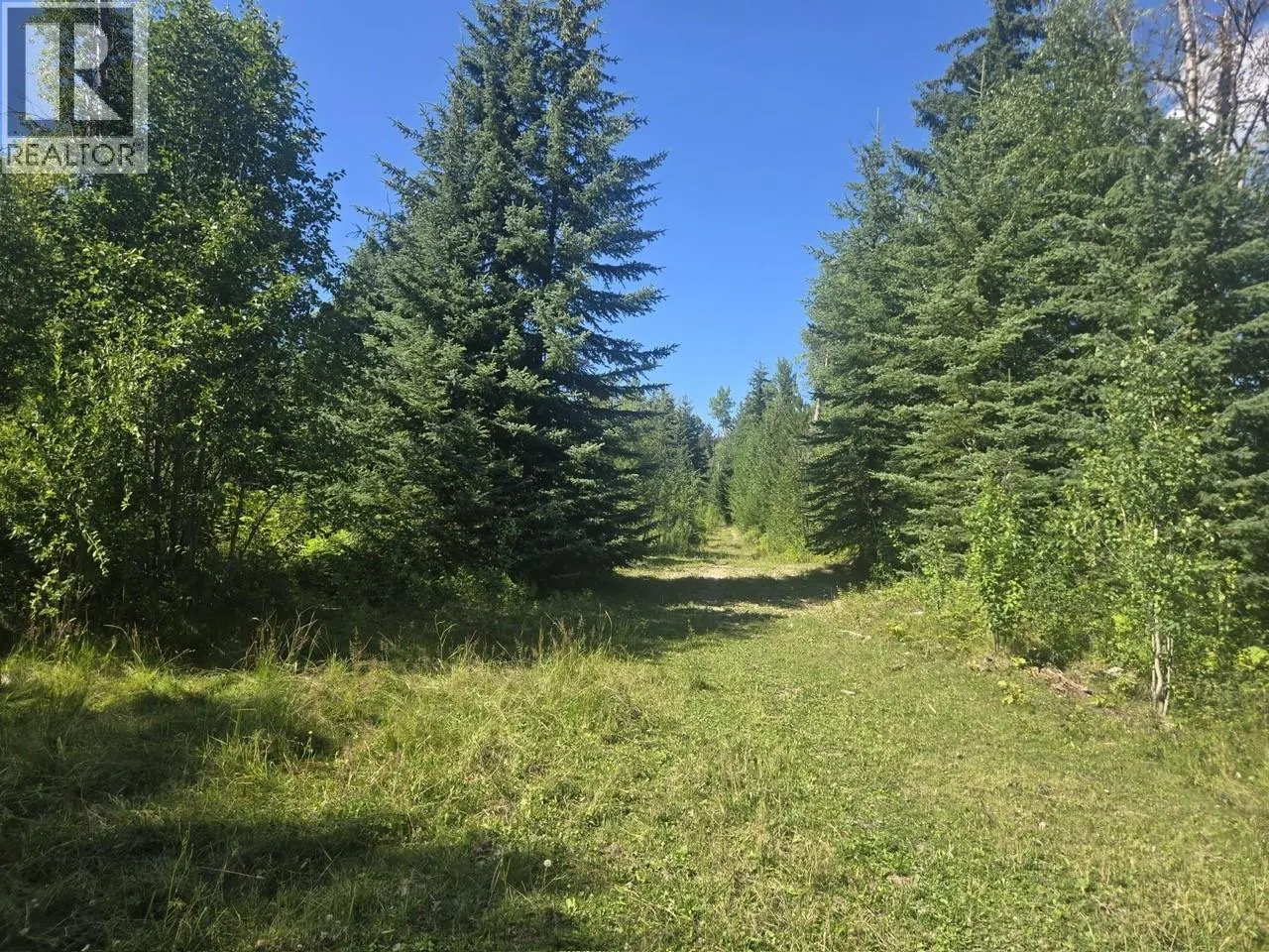 3680 Miller Lake FSR Forest