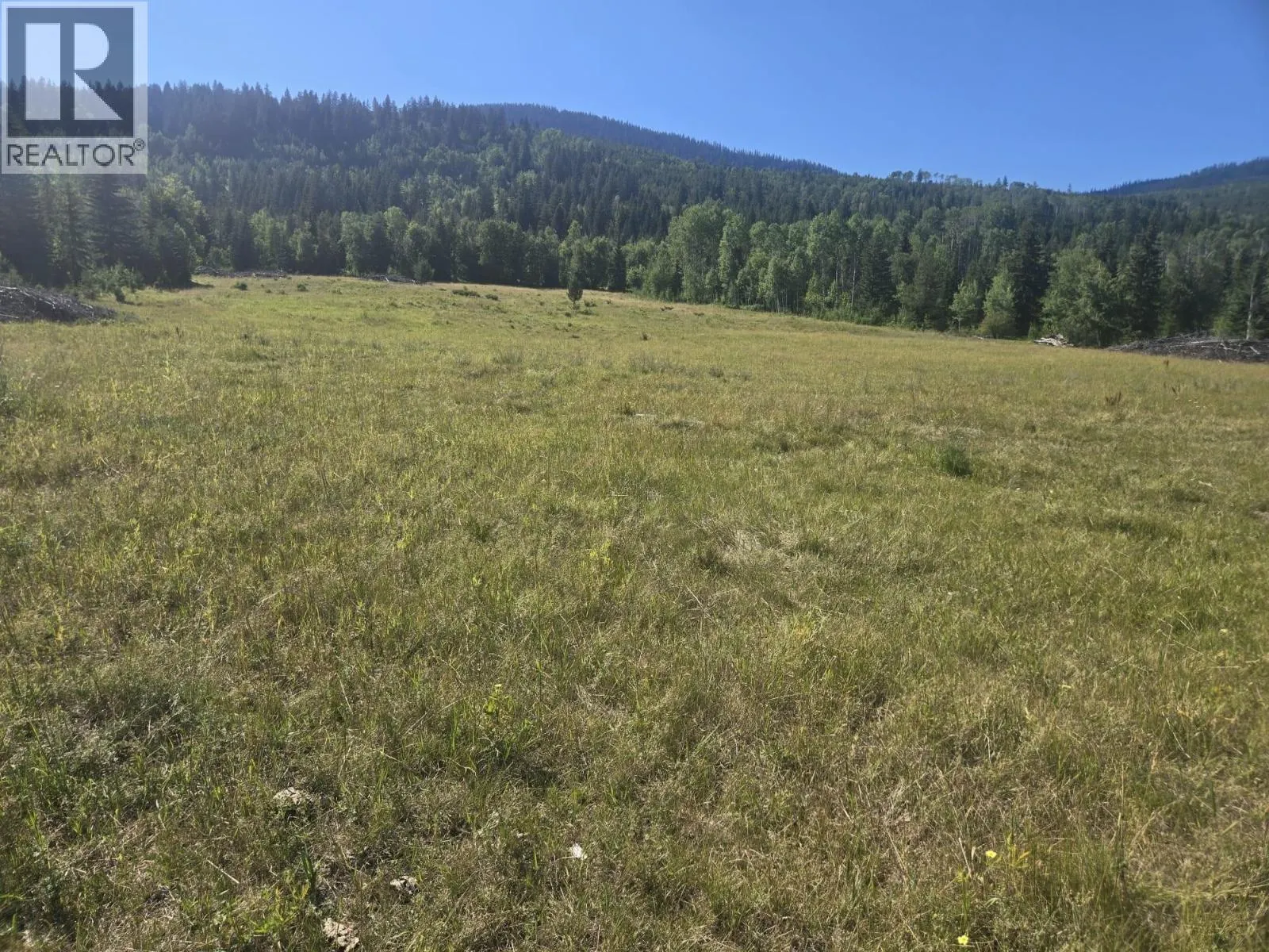 3680 Miller Lake FSR Forest