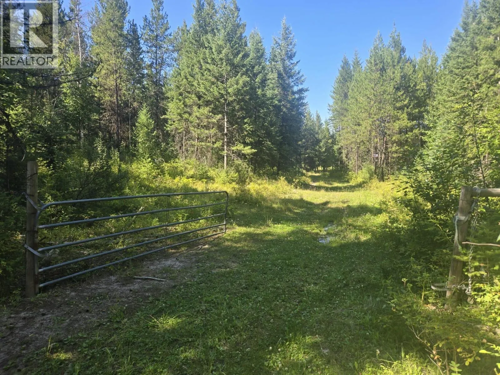 3680 Miller Lake FSR Forest