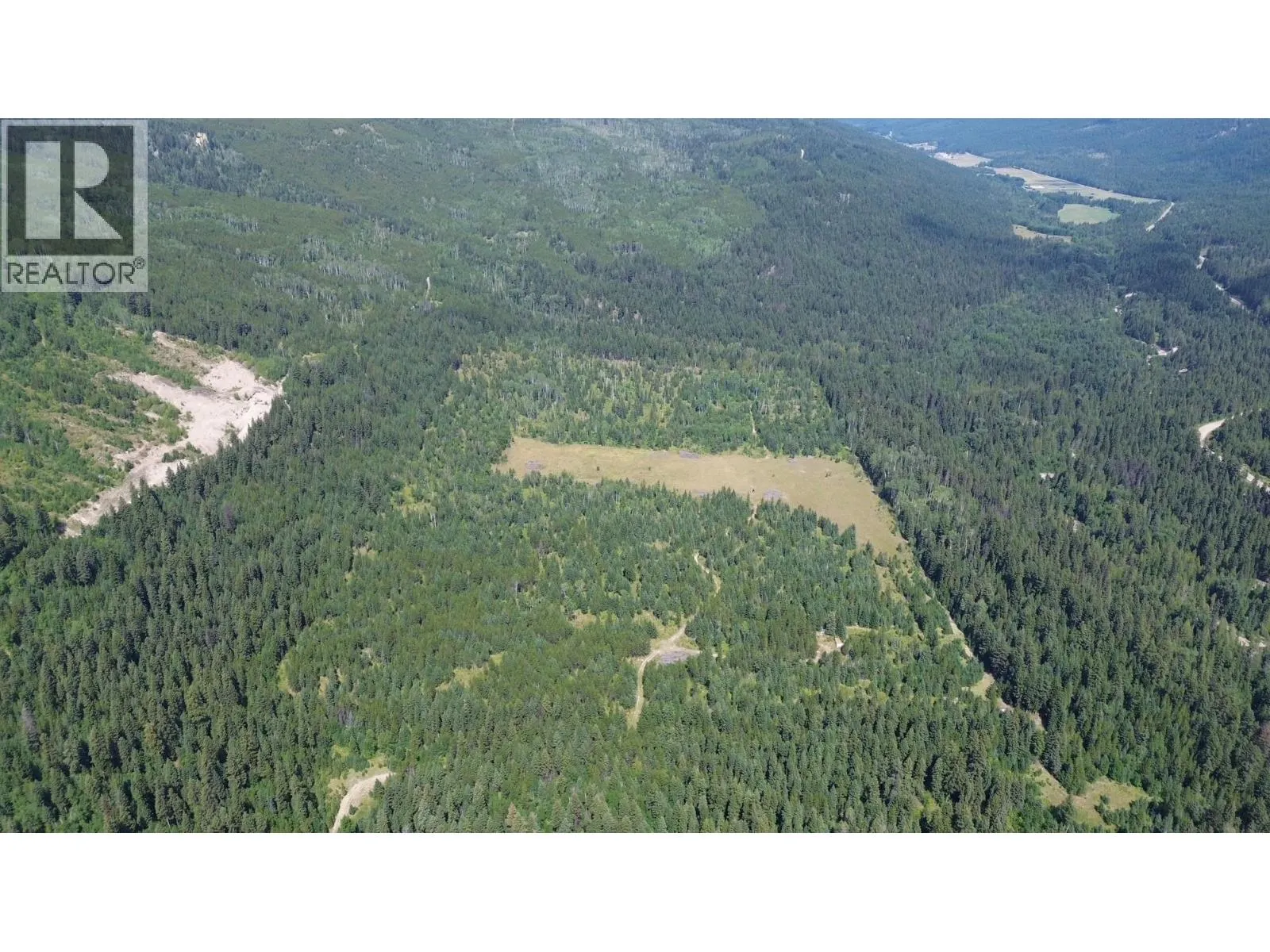 3680 Miller Lake FSR Forest