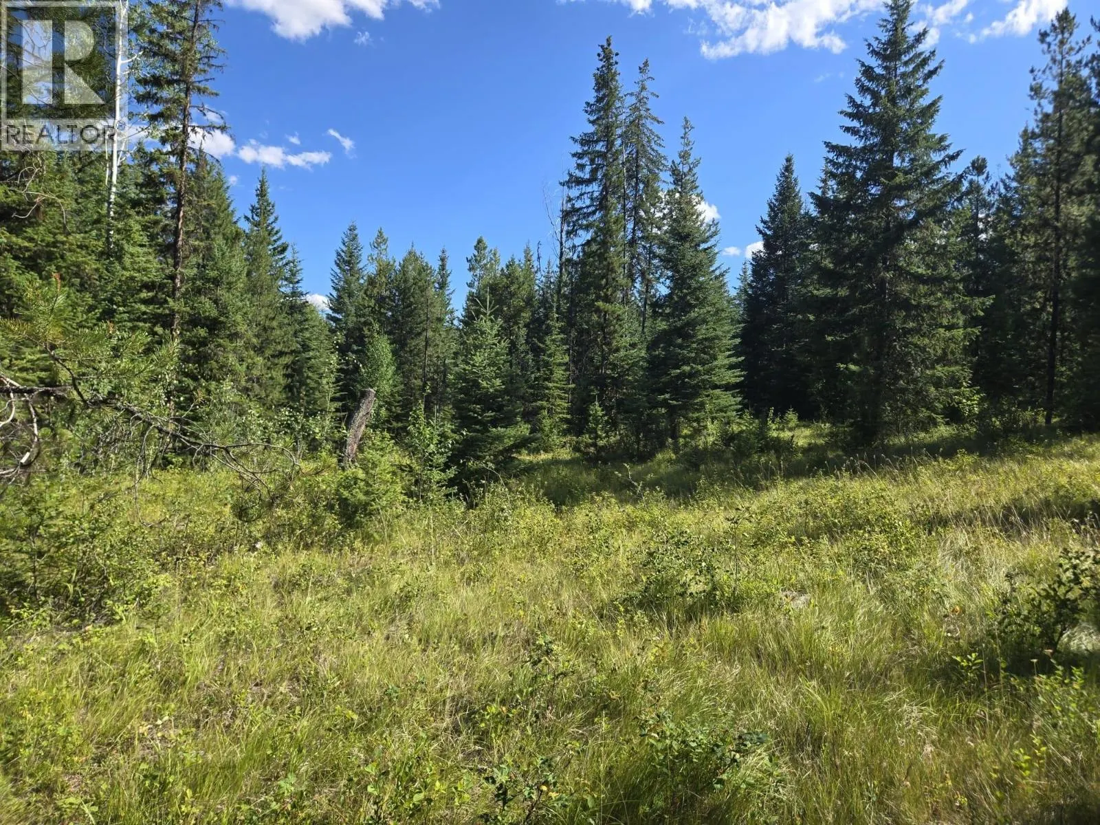 3680 Miller Lake FSR Forest