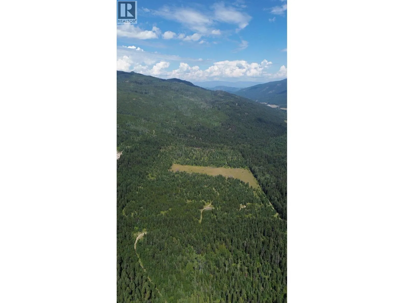 3680 Miller Lake FSR Forest