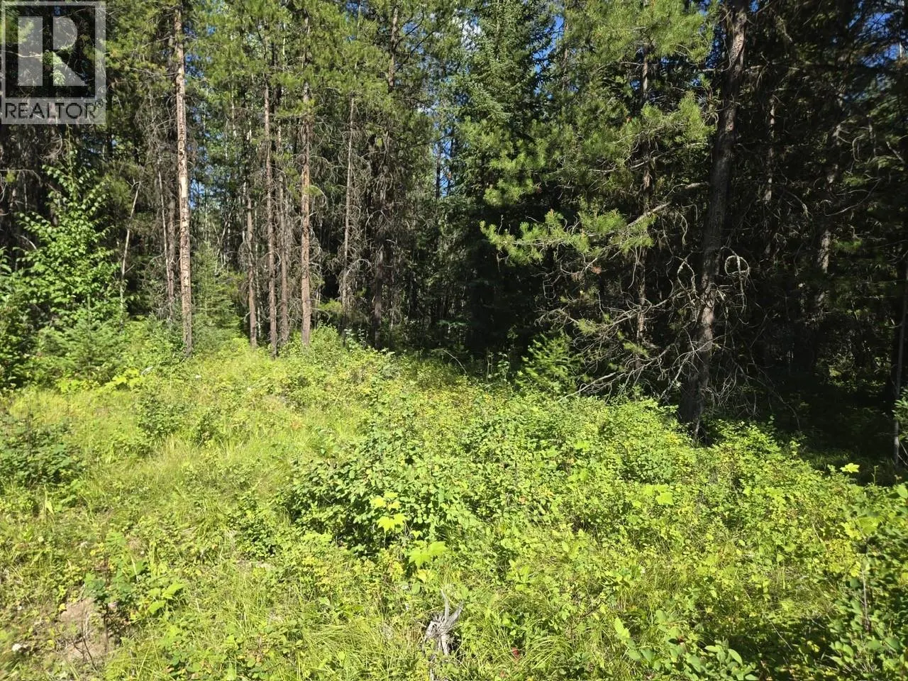 3680 Miller Lake FSR Forest