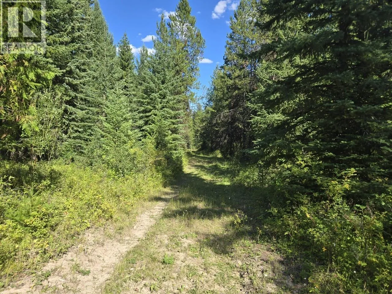 3680 Miller Lake FSR Forest