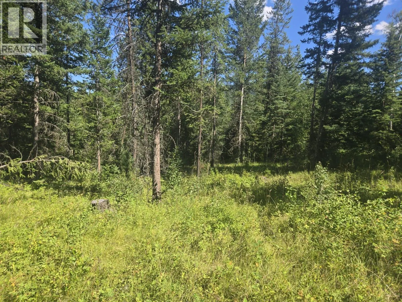 3680 Miller Lake FSR Forest