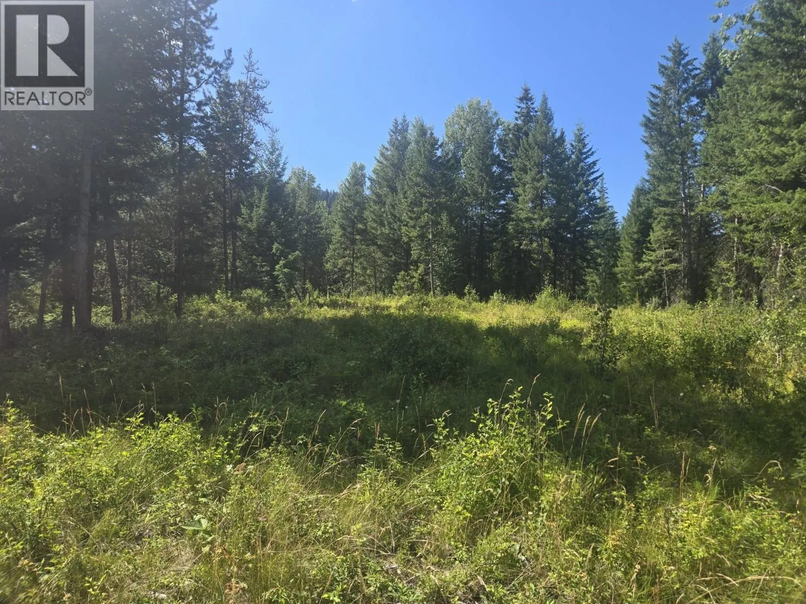3680 Miller Lake FSR Forest